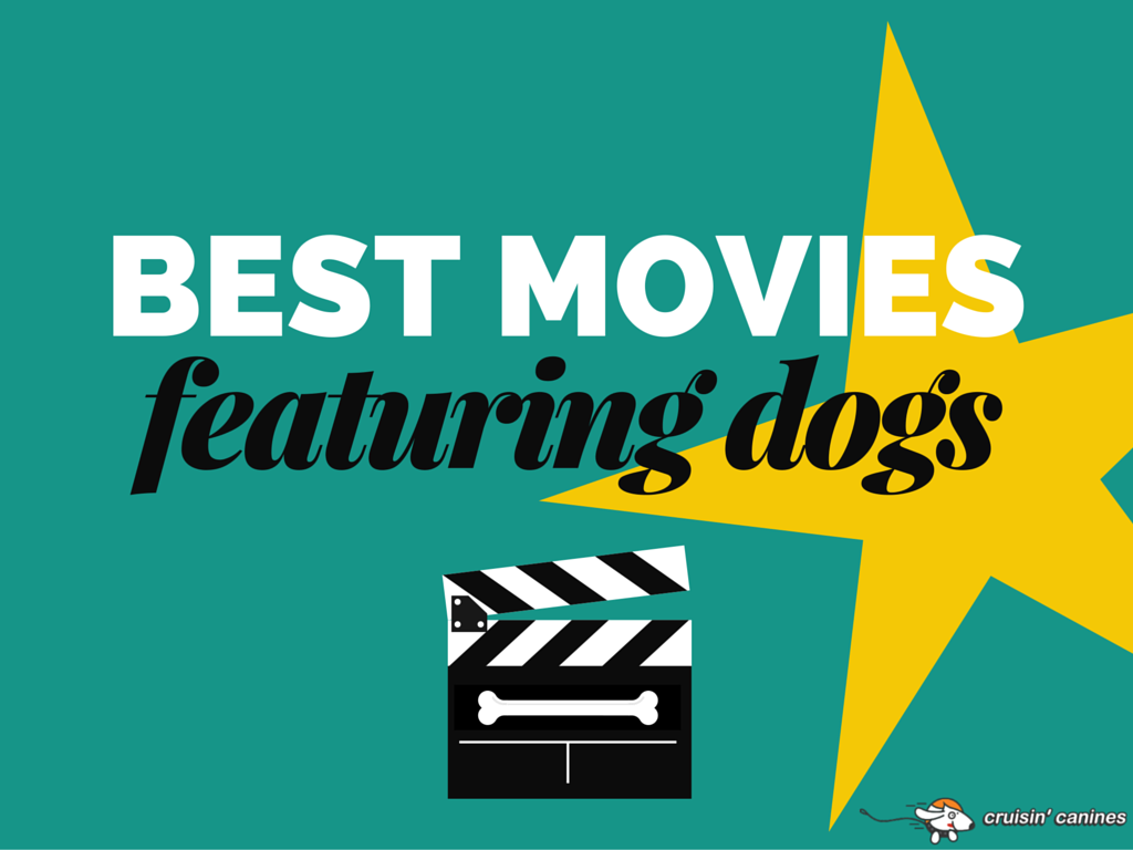Dogs on the silver screen